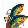 Fishing Experts Favicon